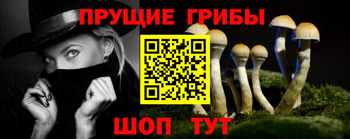 Галлюциногенные грибы Cubensis Советск