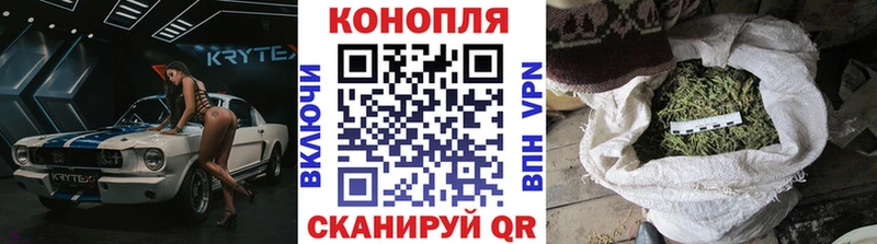 Каннабис сатива  хочу   Советск 